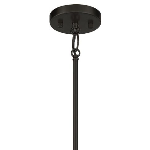 Townhall 4 Light 16 inch Coal/Soft Brass Pendant Ceiling Light